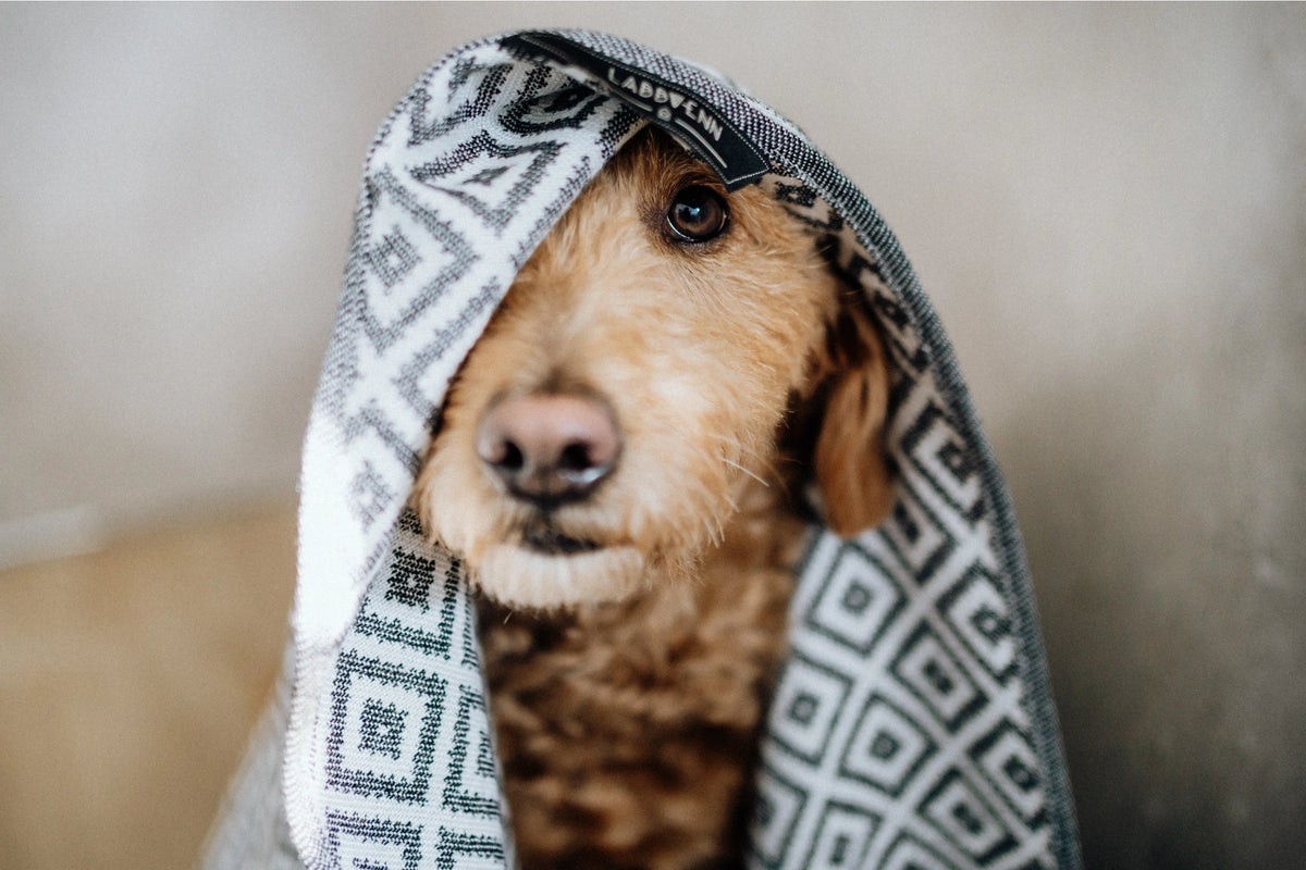 Labbvenn LINAA Hundehåndklæde – Eksklusivt bambushåndklæde til hunde