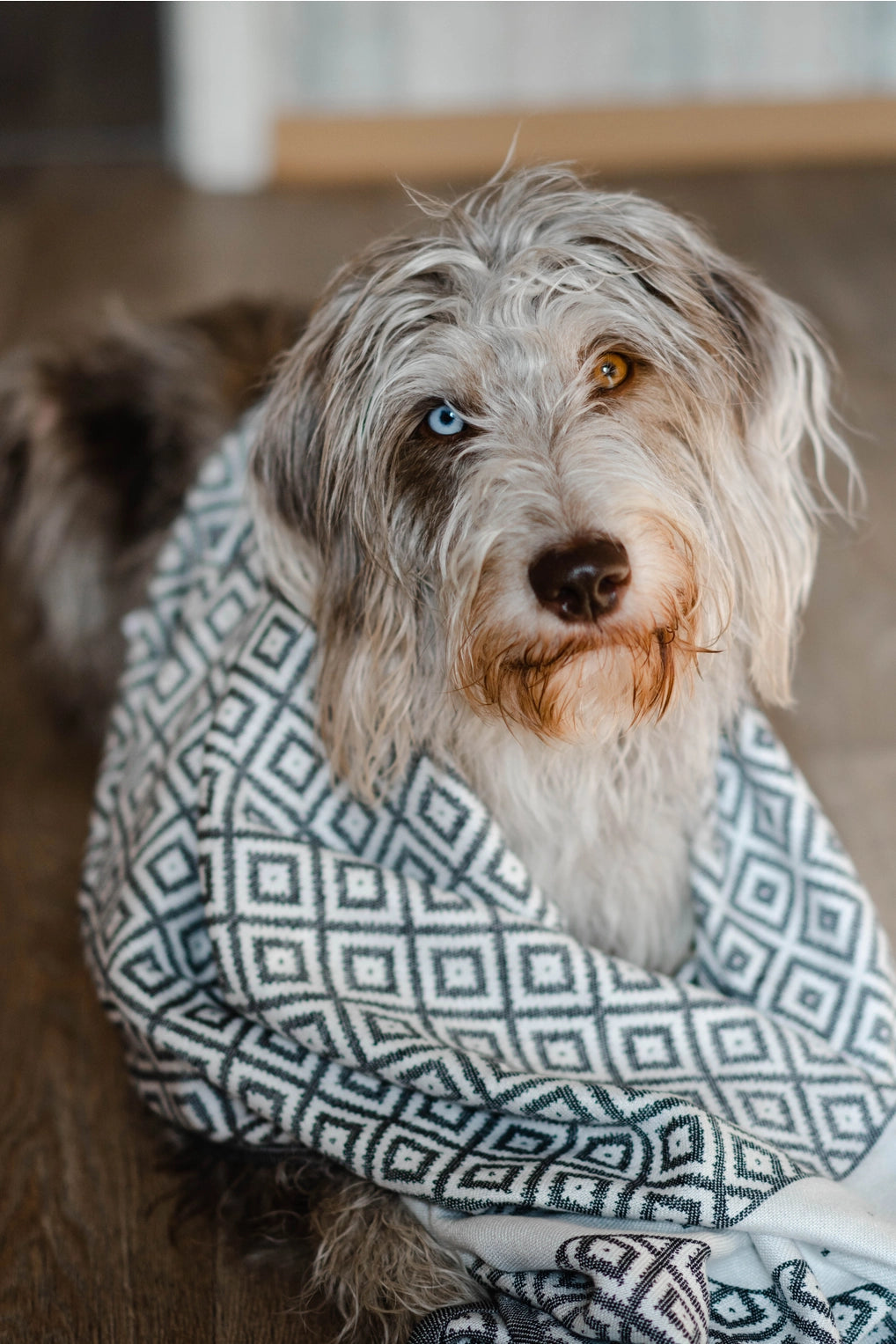 Labbvenn LINAA Hundehåndklæde – Eksklusivt bambushåndklæde til hunde